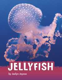 Jellyfish