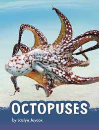 Octopuses