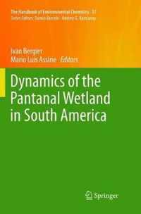 Dynamics of the Pantanal Wetland in South America