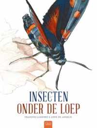 Insecten onder de loep