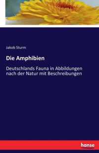 Die Amphibien