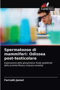 Spermatozoo di mammiferi