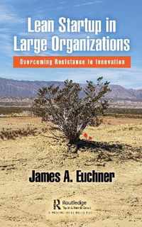 Lean Startup in Large Organizations