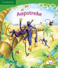 Aapstreke (Afrikaans)