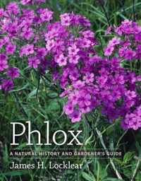 Phlox