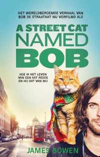 A street cat named Bob