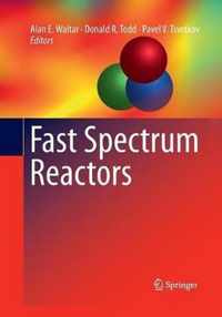 Fast Spectrum Reactors