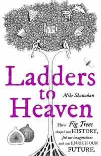 Ladders to Heaven