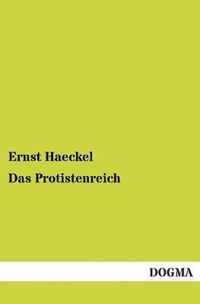 Das Protistenreich