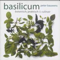 Basilicum