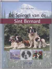 De Spiegel Van De Sint Bernard