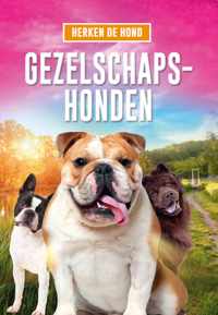 Herken de hond  -   Gezelschapshonden