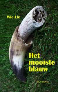 Het mooiste blauw