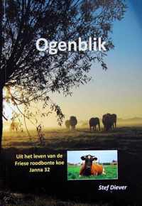 Ogenblik