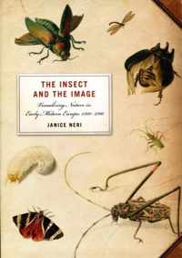 Insect And The Image