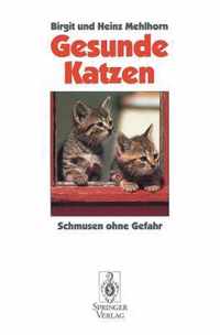 Gesunde Katzen