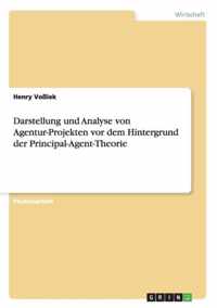 Darstellung und Analyse von Agentur-Projekten vor dem Hintergrund der Principal-Agent-Theorie