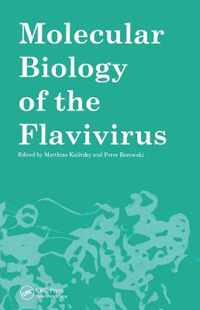 Molecular Biology of the Flavivirus