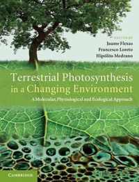 Terrestrial Photosynthesis in a Changing Environment