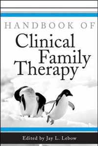 Handbook of Clinical Family Therapy