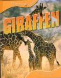 Dieren leven  -   Giraffen