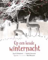 Op een koude winternacht