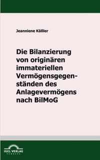 Die Bilanzierung von originaren immateriellen Vermoegensgegenstanden des Anlagevermoegens nach BilMoG