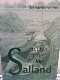 Vreuten in het olde Salland