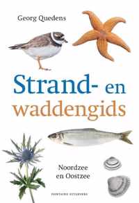 Strand en waddengids