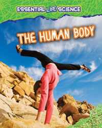 The Human Body