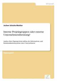 Interne Projektgruppen oder externe Unternehmensberatung?