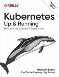 Kubernetes Up and Running Dive Into the Future of Infrastructure