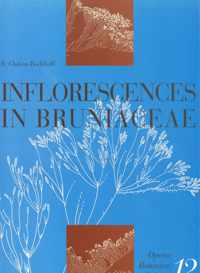 Inflorescences in bruniaceae. The brunoid reference