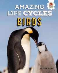 Birds - Amazing Life Cycles