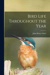 Bird Life Throughout the Year