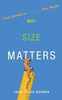 Why Size Matters