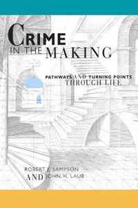 Crime in the Making - Pathways & Turning Points through Life (Paper)