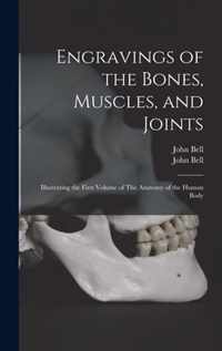 Engravings of the Bones, Muscles, and Joints