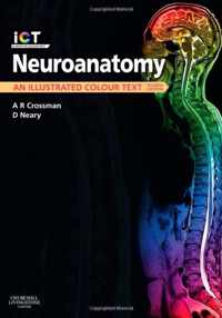 Neuroanatomy,