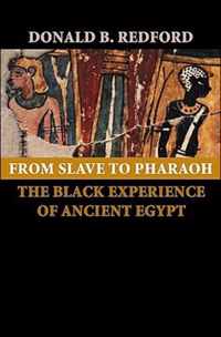 From Slave to Pharaoh