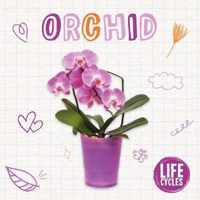 Orchid