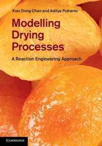 Modelling Drying Processes