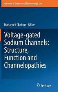 Voltage gated Sodium Channels Structure Function and Channelopathies