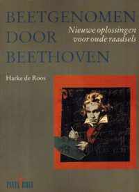 Beetgenomen door beethoven