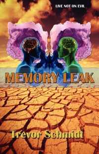 Memory Leak