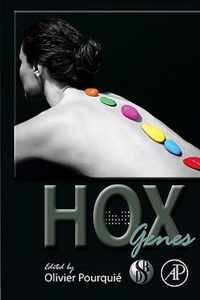 HOX Genes