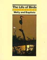 The Life of Birds