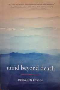 Mind Beyond Death