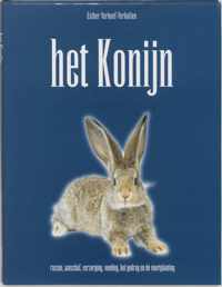 Konijn