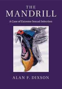 The Mandrill